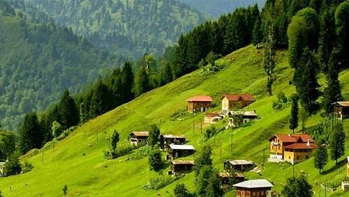 RİZE Medyum